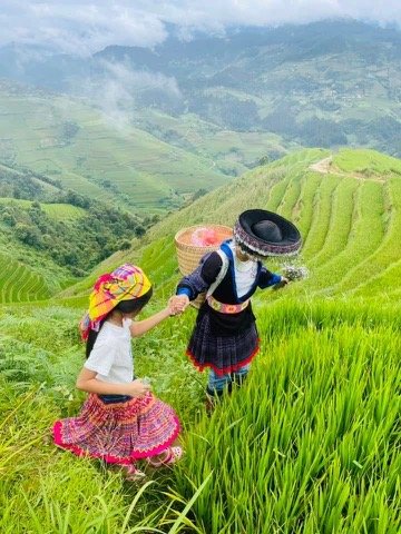 Cuộc sống Mỹ 